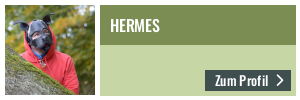 Gästeprofil von Hermes