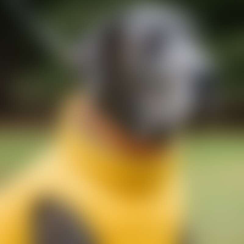 turdus Avatarbild