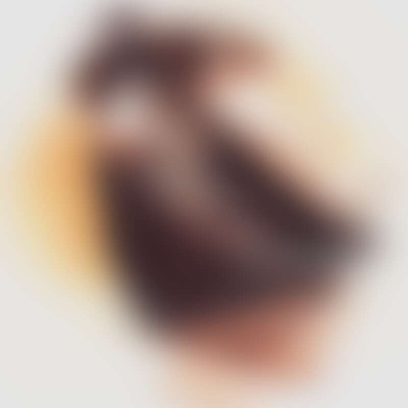 DasZebra Avatarbild