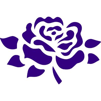 BlueRose Avatarbild