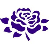 BlueRose Avatarbild