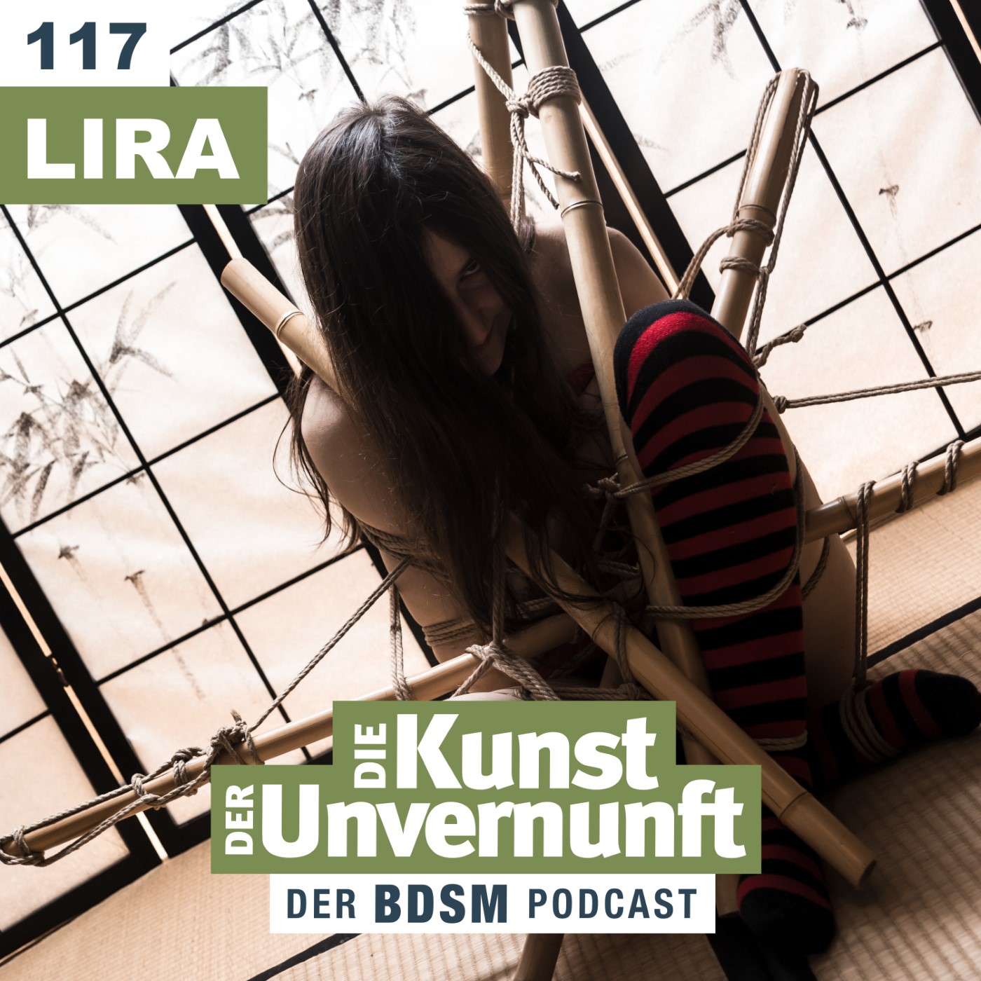 Cover Lira - Die Lust an der Angst