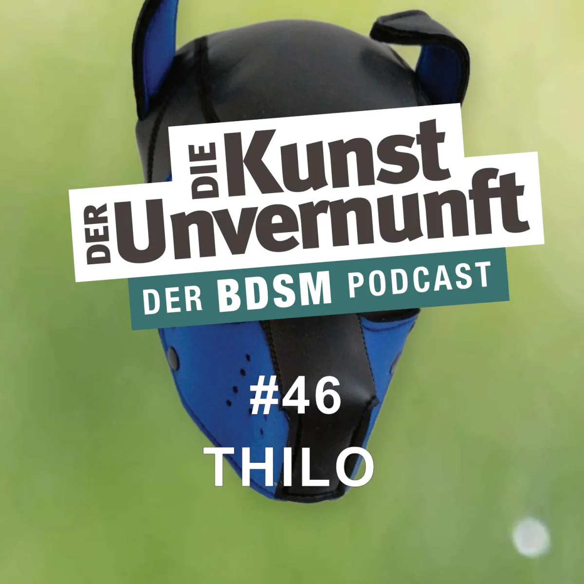 Podcast-Cover mit schwarzer und blauer Hundemaske, Titel Die Kunst der Unvernunft, Folge 46 Thilo.