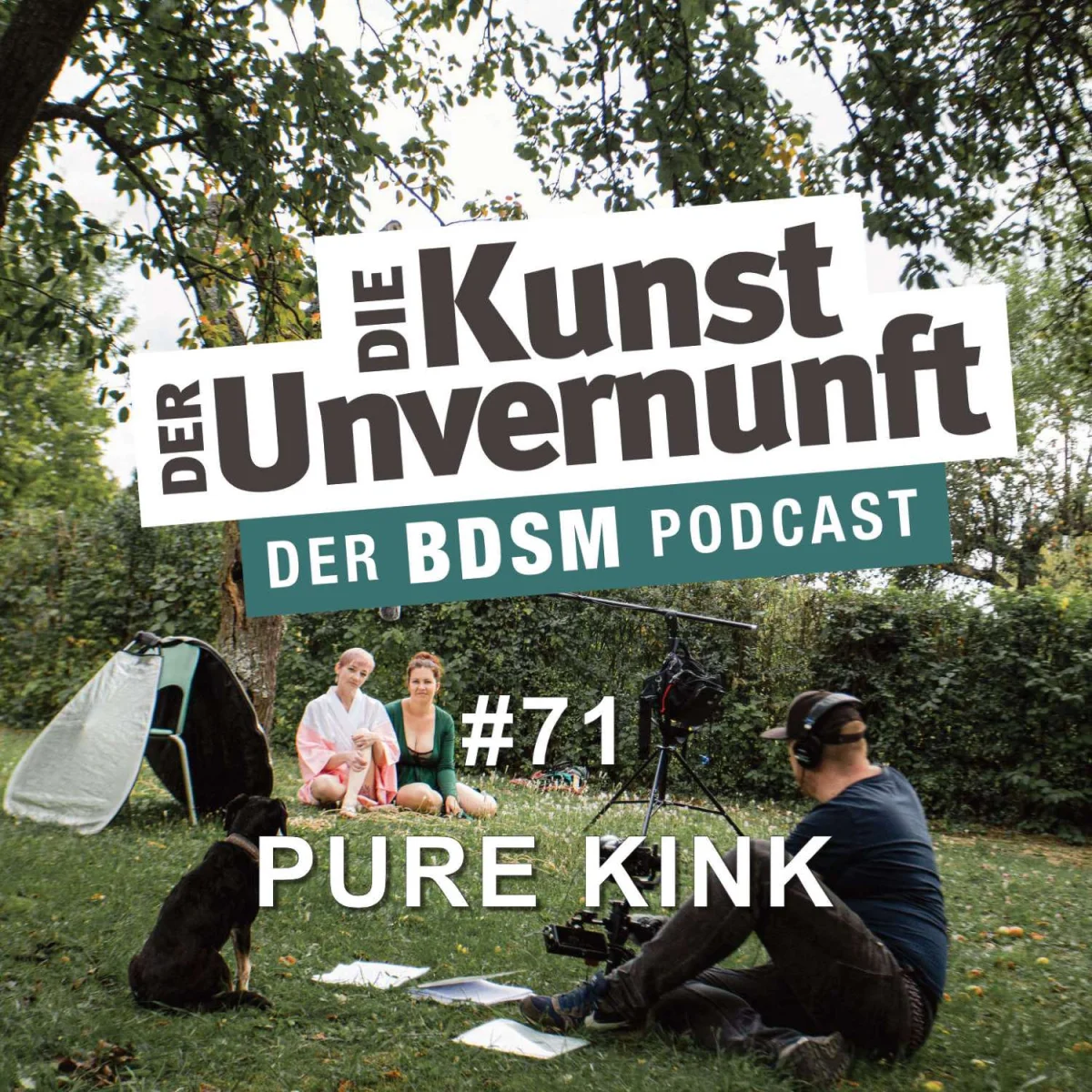 Podcast-Cover mit dem Titel Die Kunst der Unvernunft, Folge 71 Pure Kink, im Park mit zwei sitzenden Personen und Aufnahmeszene