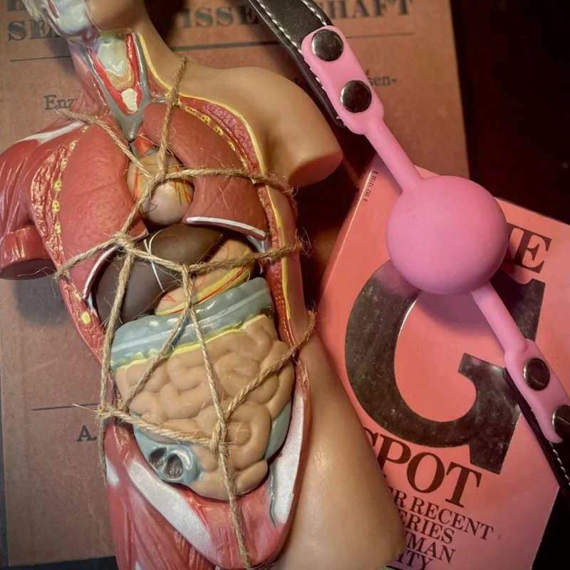 Anatomisches Modell eines Oberkörpers mit Seilbindung neben einem pinken BDSM-Accessoire auf Büchern.