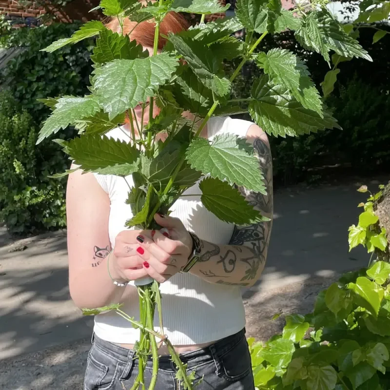 Person hält große grüne Pflanzen vor dem Gesicht, Arme mit Tattoos, im sonnigen Garten.