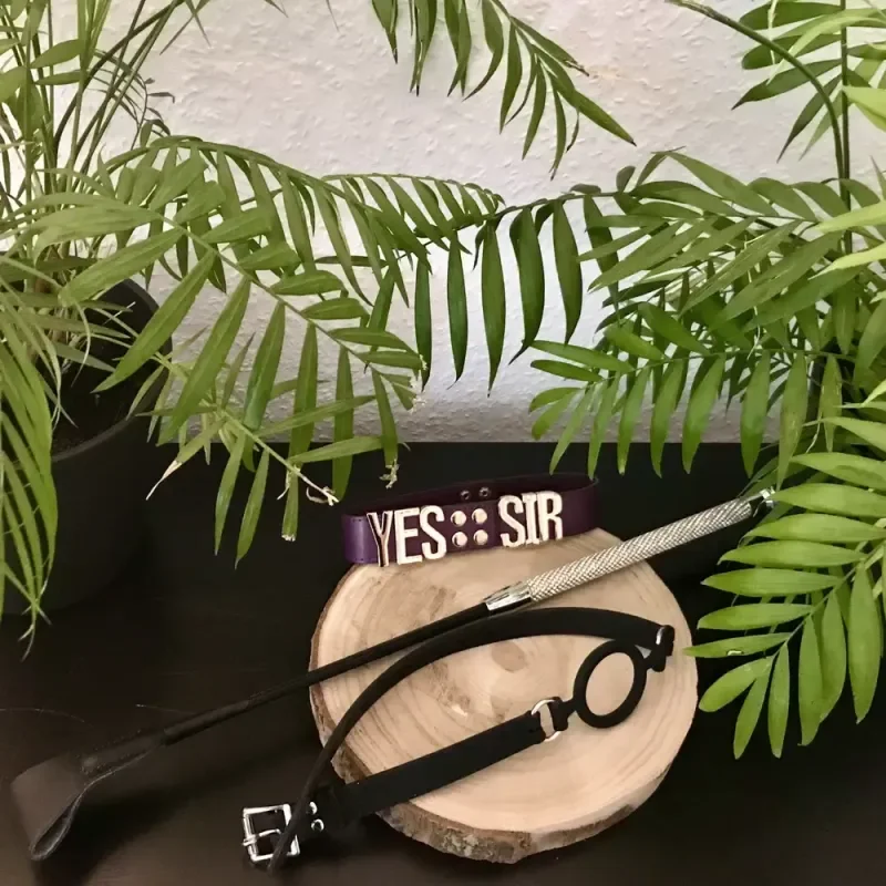 Grüne Zimmerpflanzen um Holzscheibe mit „YES SIR“-Halsband, schwarzer Brille und Stab als Podcast-Cover