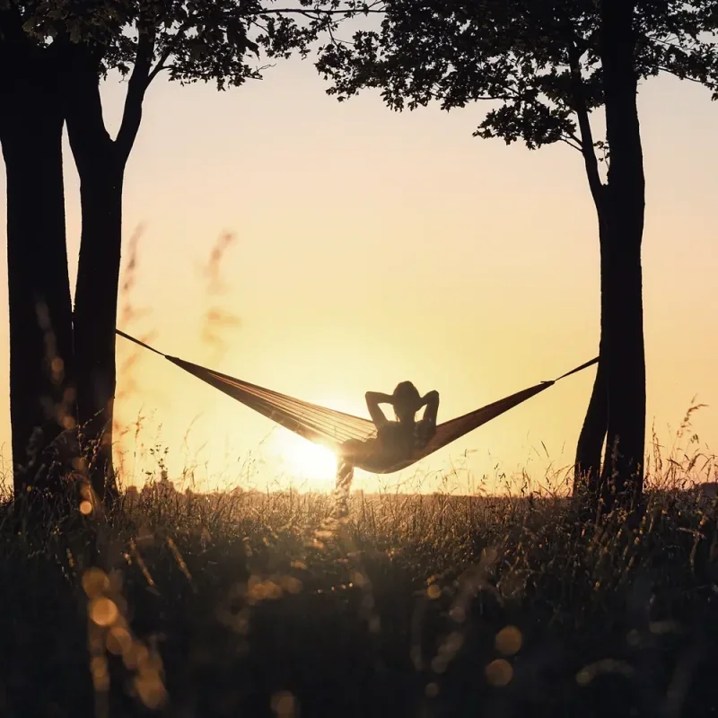 Hängematte zwischen zwei Bäumen bei Sonnenuntergang auf einer Wiese mit silhouettierten Personen