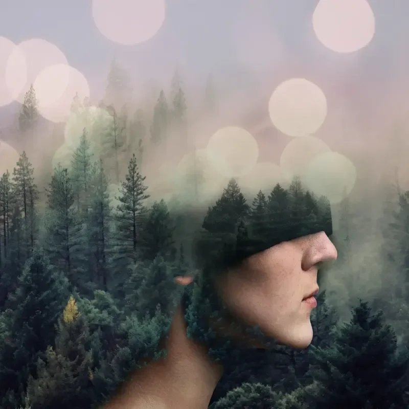 Seitliches Gesicht im Profil, überlagert mit nebligem Wald und sanften Lichtkreisen als Podcast-Cover