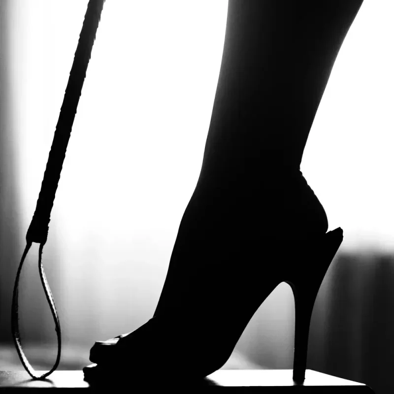 Silhouette eines High Heels neben einer Peitsche, passend zum Podcast-Cover über Dominanz