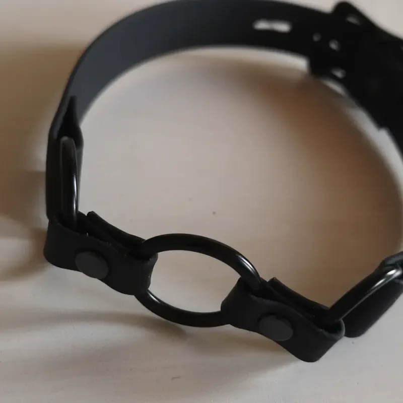 Schwarzes Halsband mit Metallring auf hellem Holztisch