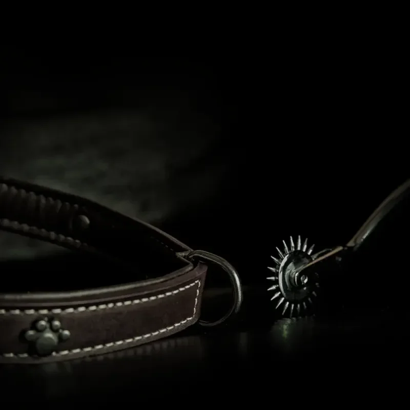 Dunkles Cover mit Lederhalsband und Metallsporn auf schwarzem Hintergrund