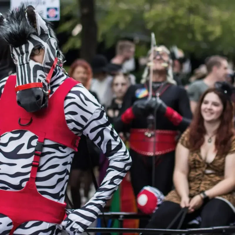 Person im Zebra-Petplay-Kostüm mit rotem Geschirr vor Menschenmenge im Freien
