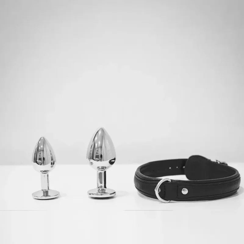 Zwei Metall-Buttplugs und ein schwarzes Halsband auf hellem Hintergrund